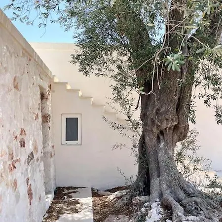 Olivetta - Private Pool